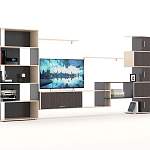 Гостиная Домино К2 BMS - Фото 2