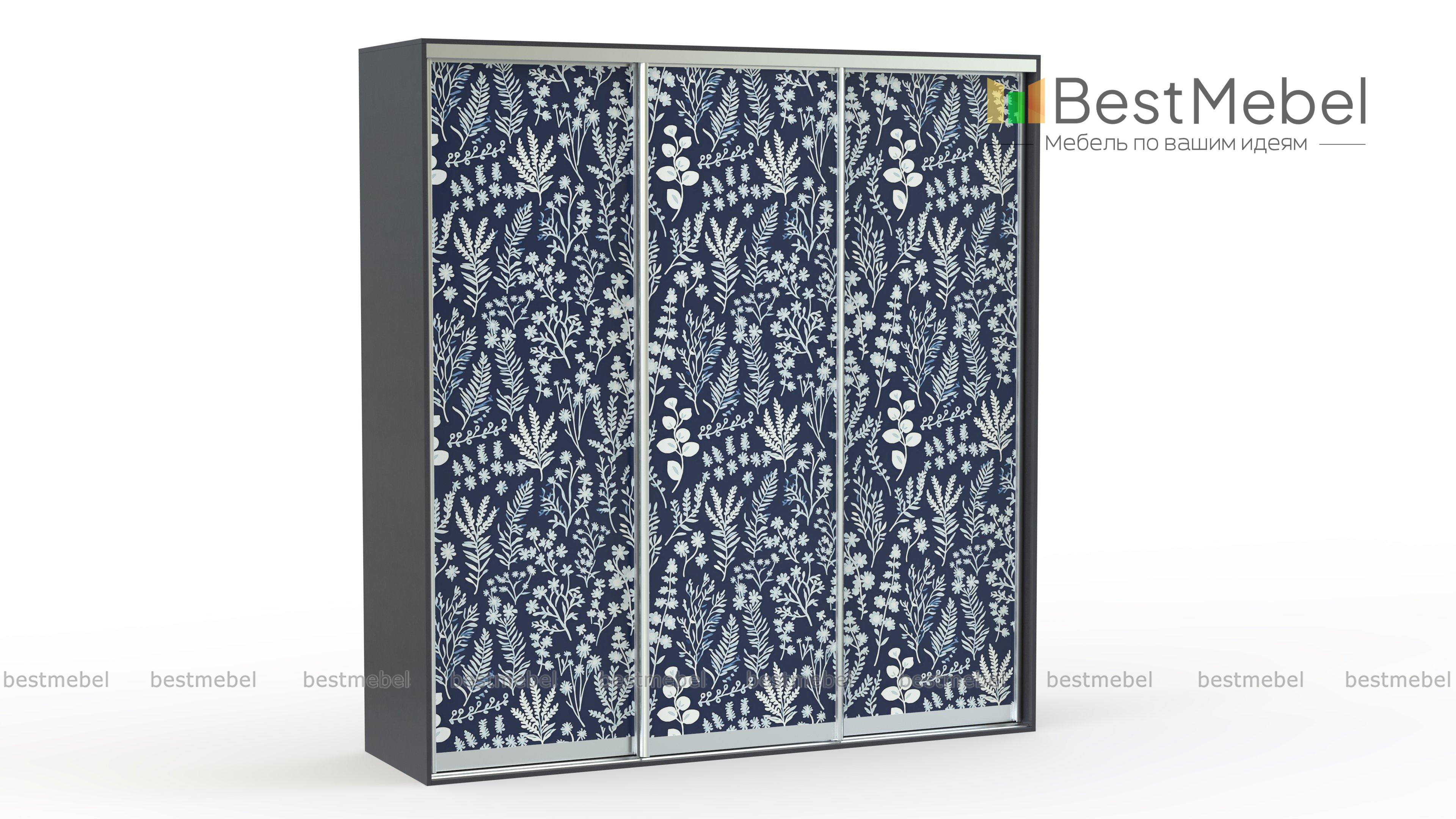Шкаф-купе Зима 04058 BMS - Фото