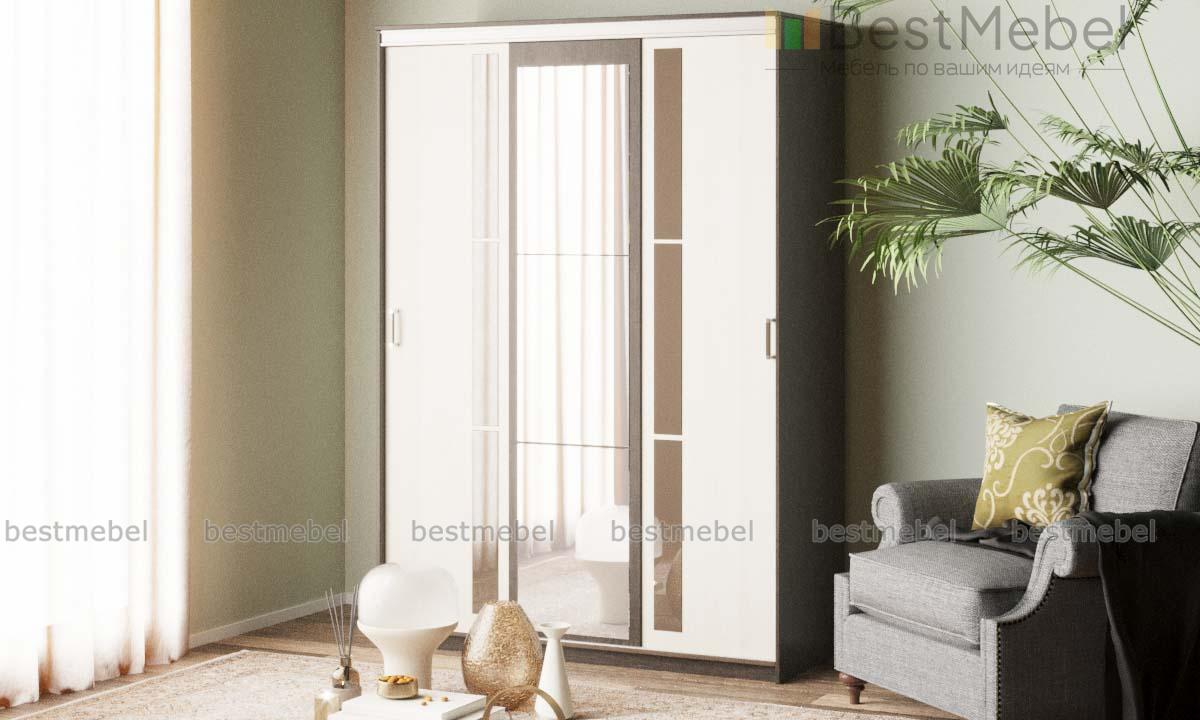 Шкаф-купе Европа - 15 BMS - Фото