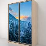 Шкаф-купе Рио 7-600 47 BMS - Фото 11