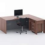 Письменный стол Терра-2 BMS - Фото 1