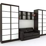 Двойной шкаф-купе Женева 25 BMS - Фото 9