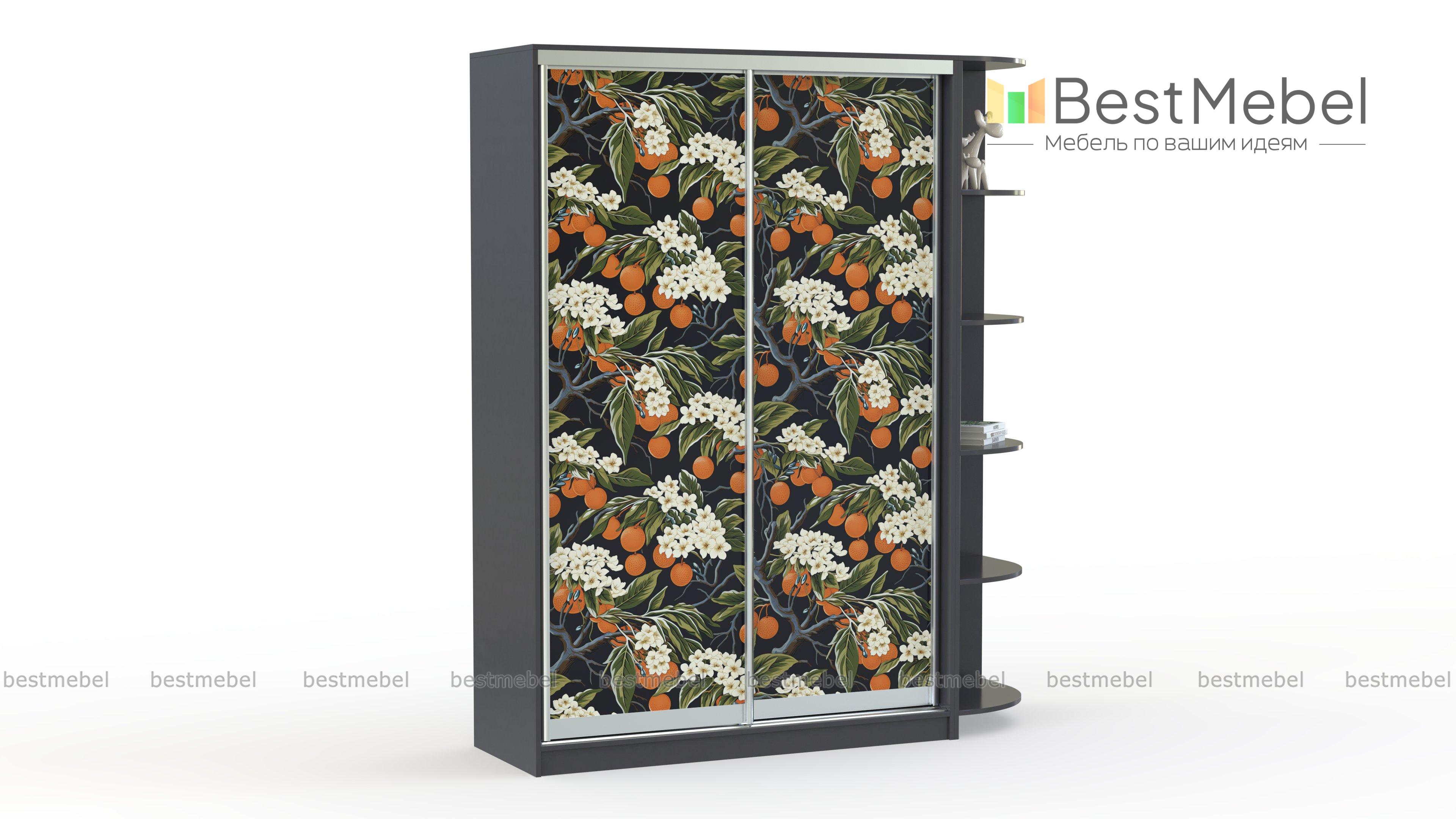 Шкаф-купе Апельсин 2 BMS - Фото