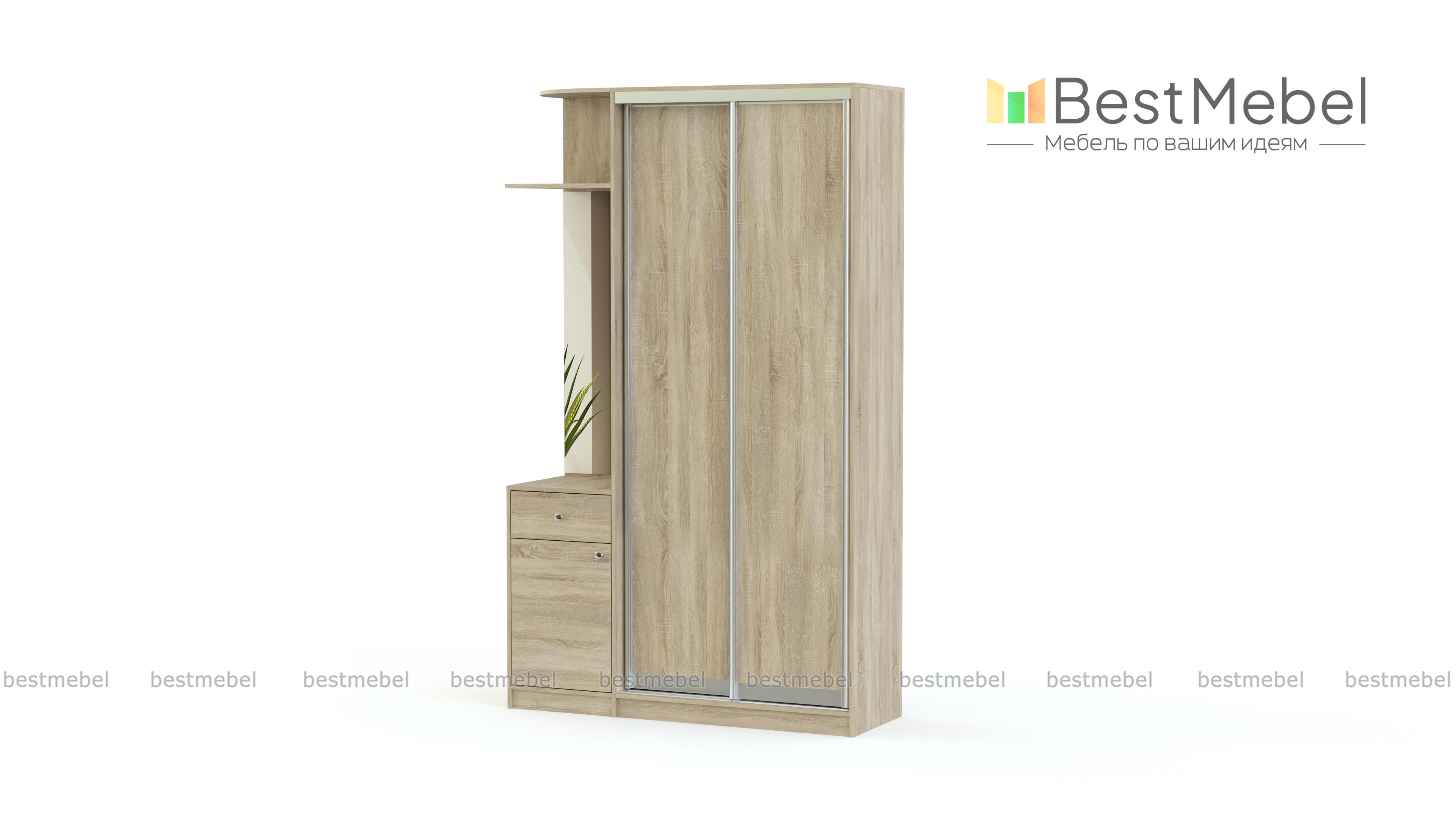 Шкаф-купе Байкал 2 BMS - Фото