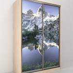 Шкаф-купе Рио 7-600 47 BMS - Фото 10