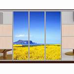 Шкаф-купе Мираж 10 BMS - Фото 9