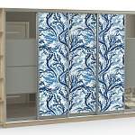 Шкаф-купе Мираж 10 BMS - Фото 3