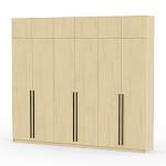 Шкаф распашной Айва 17 BMS - Фото 13