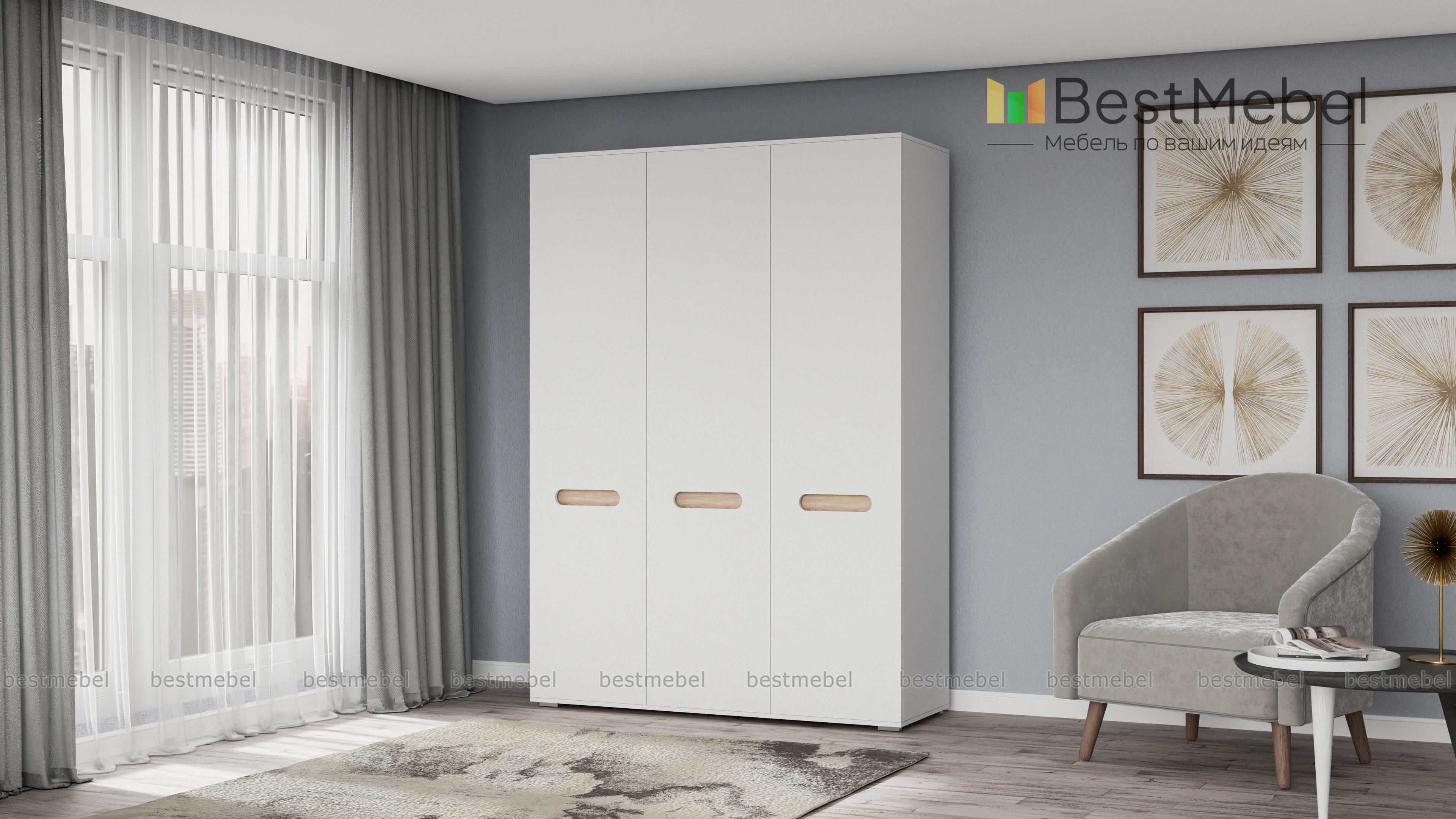 Шкаф Эдип 3 BMS - Фото